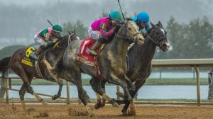 Vosburgh Stakes, Aqueduct, Crazy Mason, Carter Stakes, Breeders' Cup Sprint, America's Best Racing, horse racing, ABR